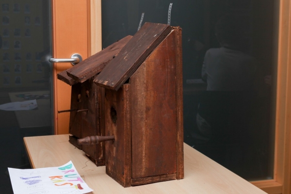 Projektwoche 2017_20